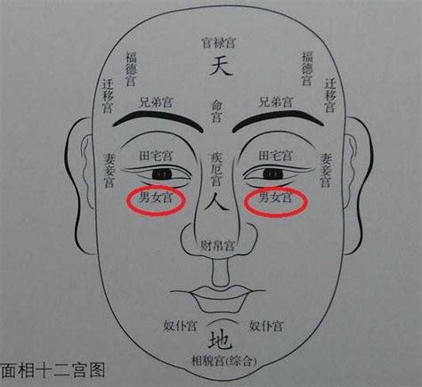 哭痣 位置|泪痣的寓意是什么 泪痣的位置图片